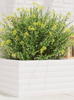VidaXL Plantenbak 50x50x23 cm massief grenenhout wit
