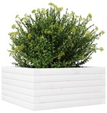 VidaXL Plantenbak 50x50x23 cm massief grenenhout wit