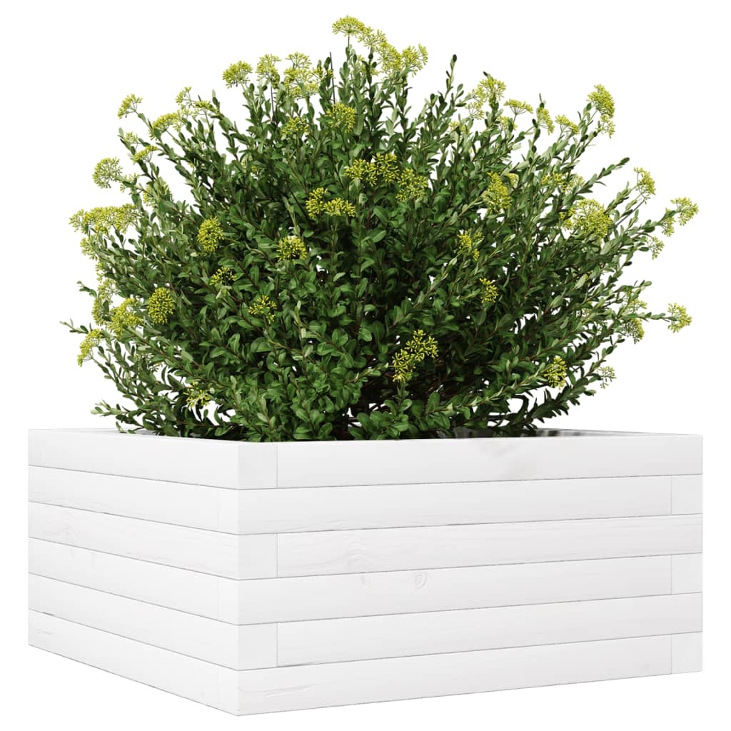 VidaXL Plantenbak 50x50x23 cm massief grenenhout wit