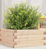 VidaXL Plantenbak 50x50x23 cm massief grenenhout