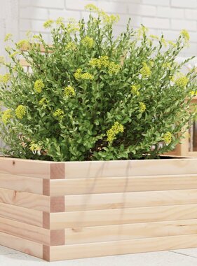 VidaXL Plantenbak 50x50x23 cm massief grenenhout