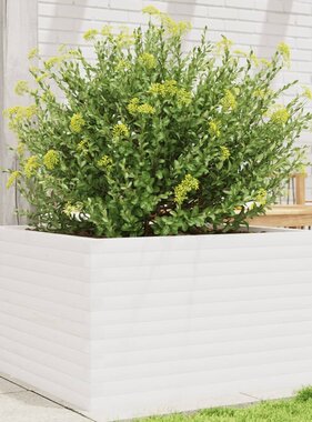 VidaXL Plantenbak 80x80x45,5 cm massief grenenhout wit