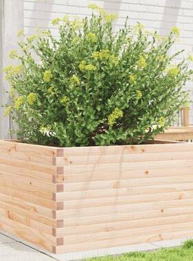 VidaXL Plantenbak 80x80x45,5 cm massief grenenhout