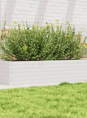 VidaXL Plantenbak 110x60x23 cm massief grenenhout wit