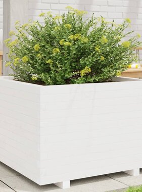 VidaXL Plantenbak 70x70x49,5 cm massief grenenhout wit