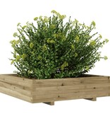 VidaXL Plantenbak 100x100x26,5 cm geïmpregneerd grenenhout