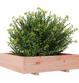 VidaXL Plantenbak 100x100x26,5 cm massief douglashout