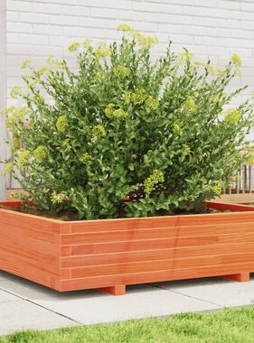 VidaXL Plantenbak 100x100x26,5 cm massief grenenhout wasbruin