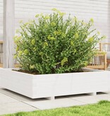 VidaXL Plantenbak 100x100x26,5 cm massief grenenhout wit