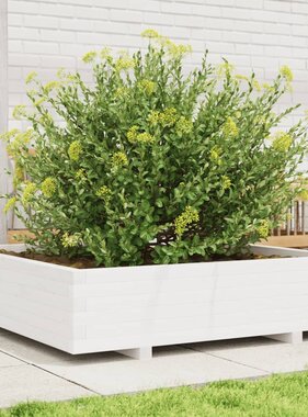 VidaXL Plantenbak 100x100x26,5 cm massief grenenhout wit
