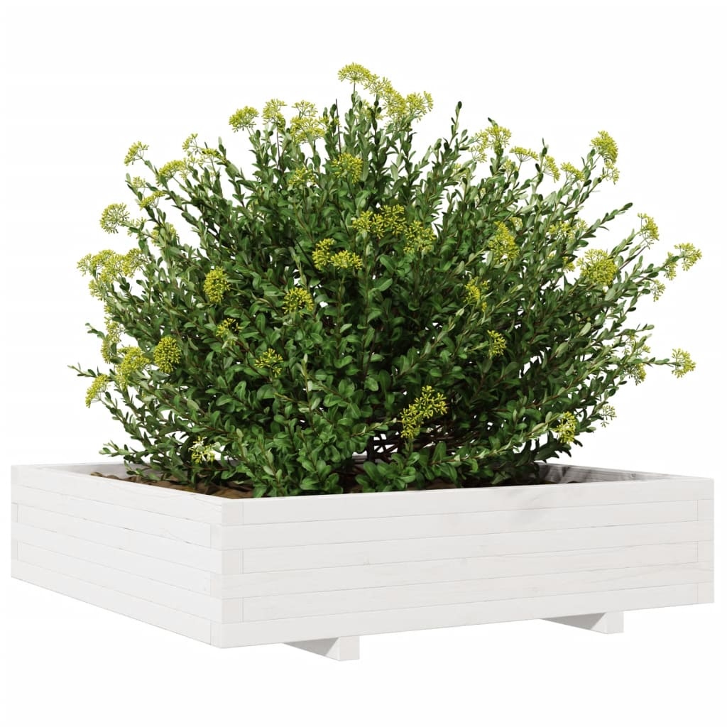 VidaXL Plantenbak 100x100x26,5 cm massief grenenhout wit