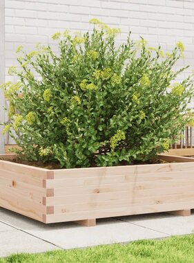 VidaXL Plantenbak 100x100x26,5 cm massief grenenhout