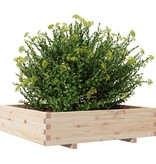 VidaXL Plantenbak 100x100x26,5 cm massief grenenhout