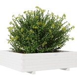 VidaXL Plantenbak 90x90x26,5 cm massief grenenhout wit