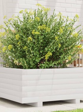 VidaXL Plantenbak 60x60x26,5 cm massief grenenhout wit