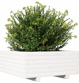 VidaXL Plantenbak 60x60x26,5 cm massief grenenhout wit