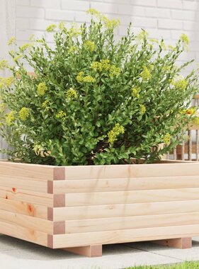 VidaXL Plantenbak 60x60x26,5 cm massief grenenhout