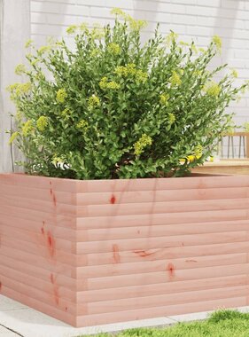 VidaXL Plantenbak 70x70x45,5 cm massief douglashout