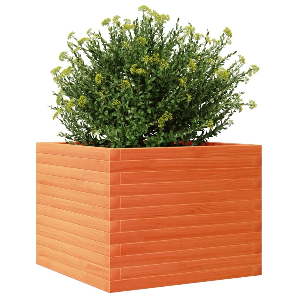 VidaXL Plantenbak 60x60x45,5 cm massief grenenhout wasbruin