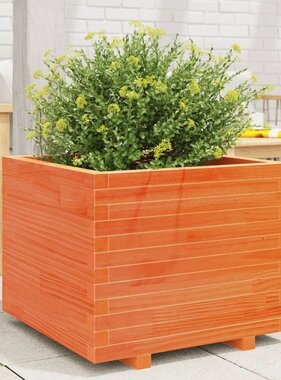 VidaXL Plantenbak 60x60x49,5 cm massief grenenhout wasbruin