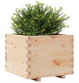 VidaXL Plantenbak 60x60x49,5 cm massief grenenhout