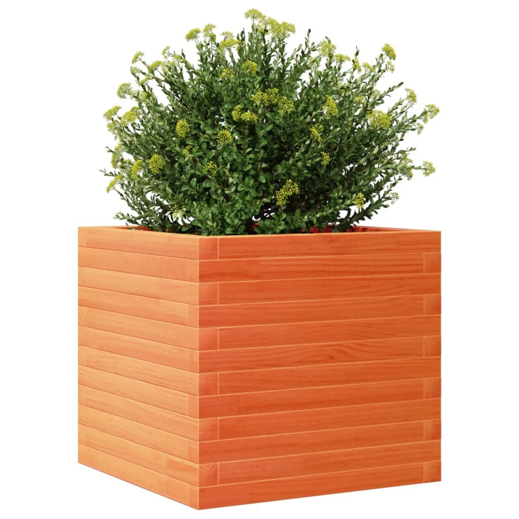 VidaXL Plantenbak 50x50x45,5 cm massief grenenhout wasbruin