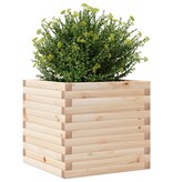 VidaXL Plantenbak 50x50x45,5 cm massief grenenhout