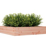 VidaXL Plantenbak 110x110x23 cm massief douglashout
