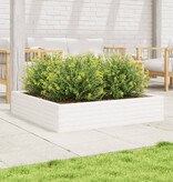 VidaXL Plantenbak 110x110x23 cm massief grenenhout wit