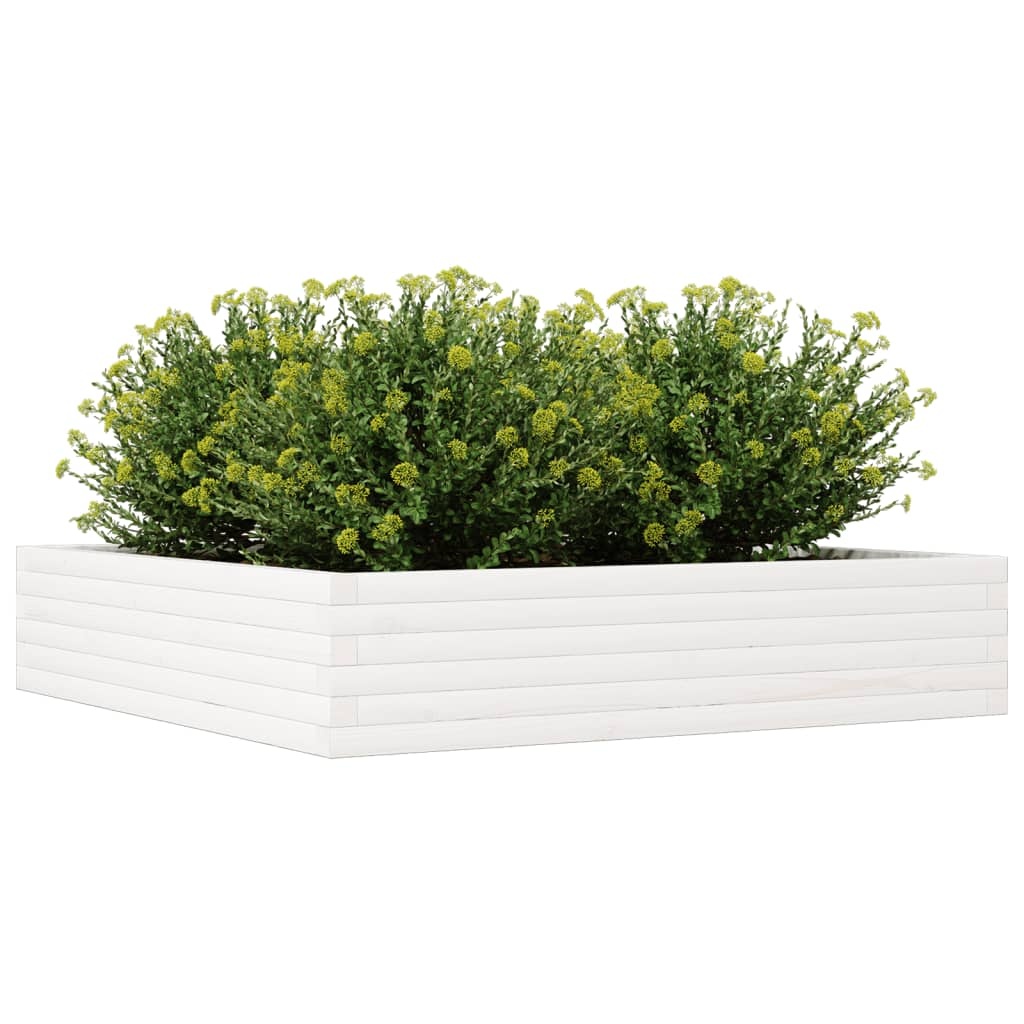 VidaXL Plantenbak 110x110x23 cm massief grenenhout wit