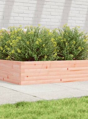 VidaXL Plantenbak 100x100x23 cm massief douglashout