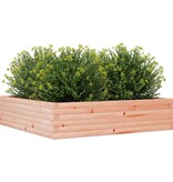 VidaXL Plantenbak 100x100x23 cm massief douglashout