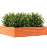 VidaXL Plantenbak 100x100x23 cm massief grenenhout wasbruin