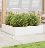 VidaXL Plantenbak 100x100x23 cm massief grenenhout wit