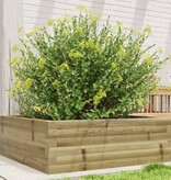 VidaXL Plantenbak 70x70x23 cm geïmpregneerd grenenhout