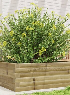 VidaXL Plantenbak 70x70x23 cm geïmpregneerd grenenhout