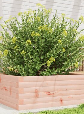 VidaXL Plantenbak 70x70x23 cm massief douglashout
