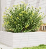 VidaXL Plantenbak 70x70x23 cm massief grenenhout wit
