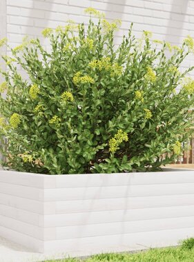 VidaXL Plantenbak 70x70x23 cm massief grenenhout wit