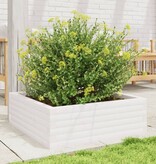 VidaXL Plantenbak 70x70x23 cm massief grenenhout wit