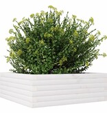 VidaXL Plantenbak 70x70x23 cm massief grenenhout wit