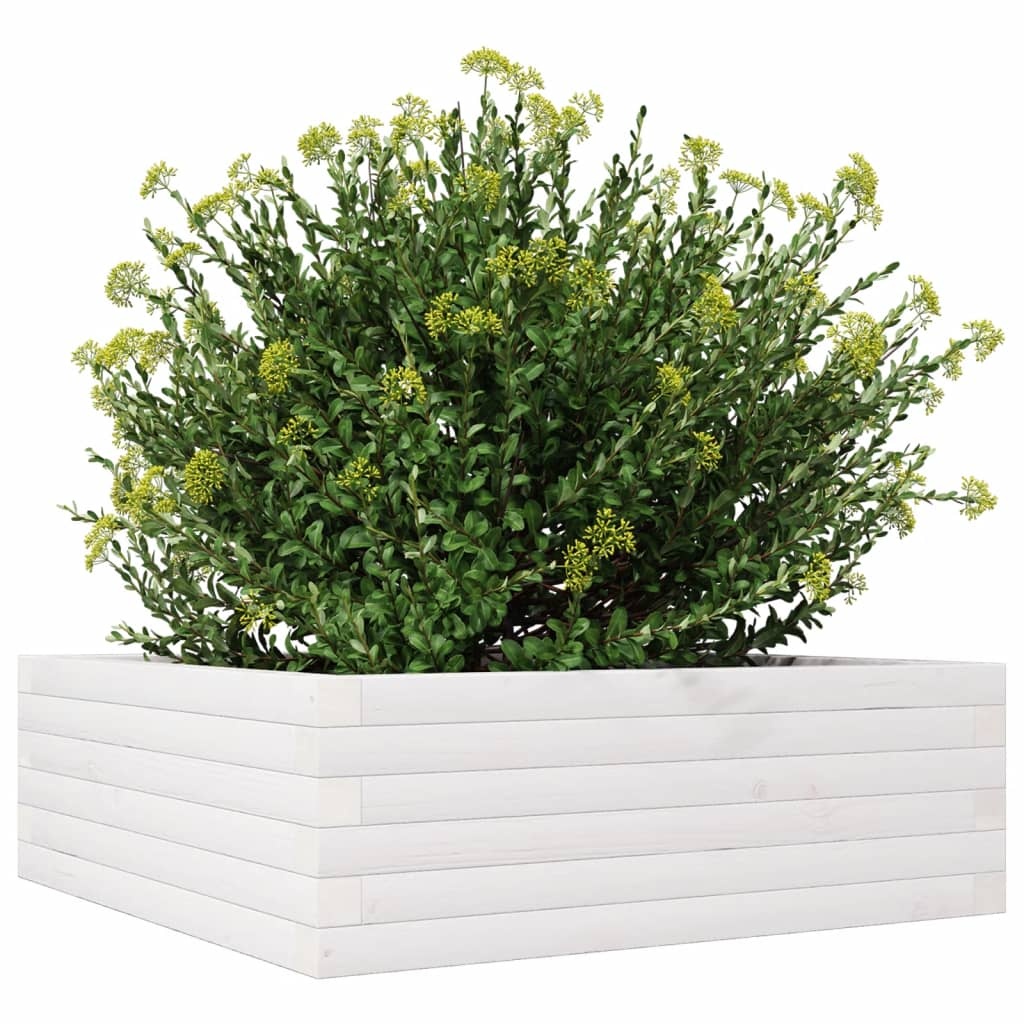 VidaXL Plantenbak 70x70x23 cm massief grenenhout wit