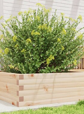 VidaXL Plantenbak 70x70x23 cm massief grenenhout
