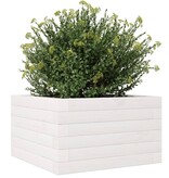 VidaXL Plantenbak 40x40x23 cm massief grenenhout wit