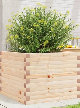 VidaXL Plantenbak 60x60x45,5 cm massief grenenhout