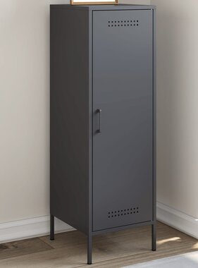 VidaXL Hoge kast 36x39x113 cm staal antracietkleurig