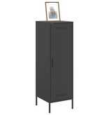 VidaXL Hoge kast 36x39x113 cm staal zwart