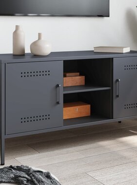 VidaXL Tv-meubel 100,5x39x50,5 cm staal antracietkleurig