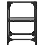 VidaXL Salontafels 2 st met zwart glazen blad 30x30x45 cm staal