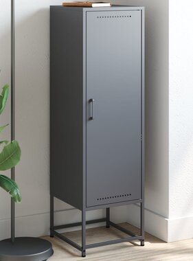 VidaXL Hoge kast 36x39x123 cm staal antracietkleurig